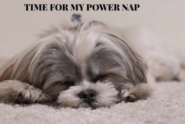 Power Naps