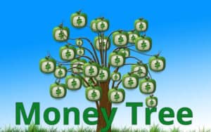 Money Tree