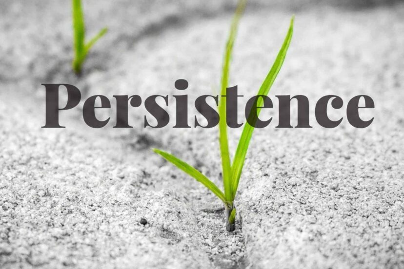 All About Persistence